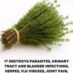 0d9a85ca d767 4a14 8271 f092d7b38cab