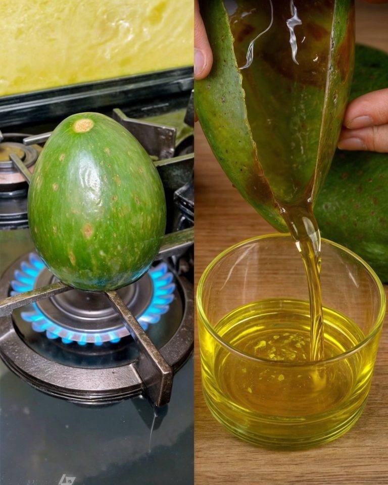 How to Make Homemade Avocado Oil the Easy Way 25 12 9