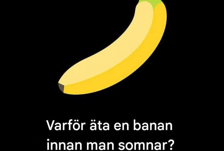 169b2614 d7c5 47ce 9076 4da33717f945 1