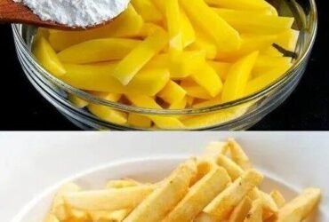 447732369 483267464212664 9018660283424186247 n