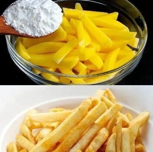 447732369 483267464212664 9018660283424186247 n