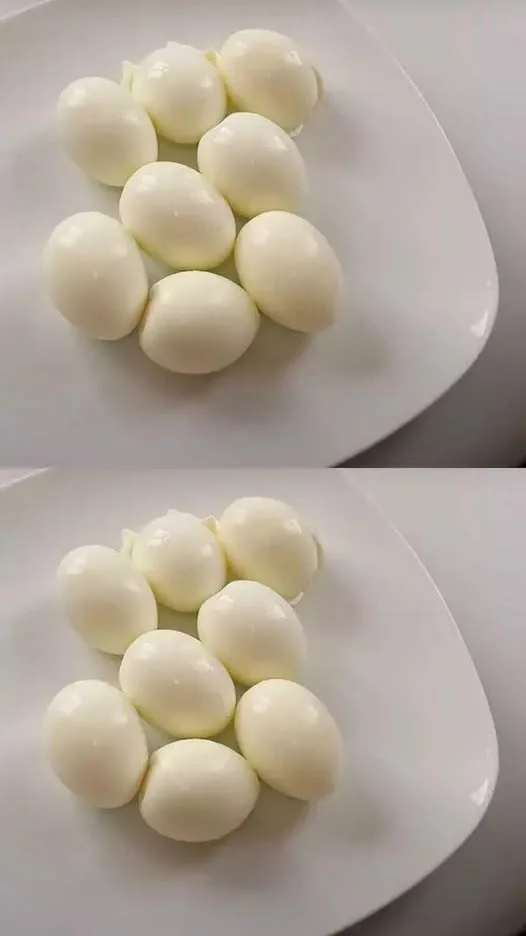 491313235 726077919992257 7217563476409392557 n.jpg