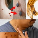 514884077 740029468603437 882054 1