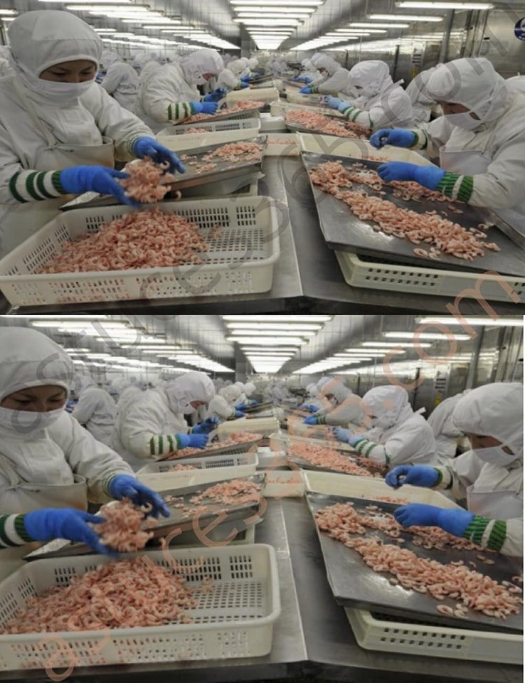 518359894 779397761183489 1210423623005712229 n 1 1 2