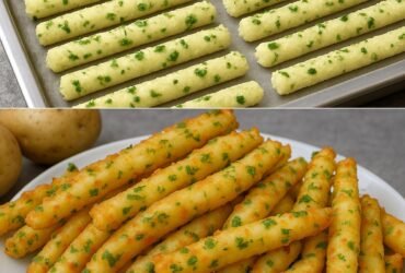 523384950 1834878197384658 4348469542396497732 n