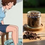 528942690 2245910565855783 4135256160797455687 n