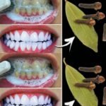 533656545 1065469045801888 3749655483731307809 n