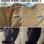 535295675 122174110616478581 4068230679318082452 n 1