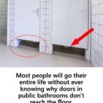 547448478 724846520600392 310937829700189803 n