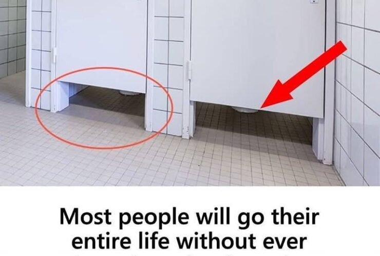 547448478 724846520600392 310937829700189803 n