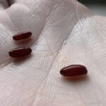 547691324 1832178997510593 1521987761122020416 n 1