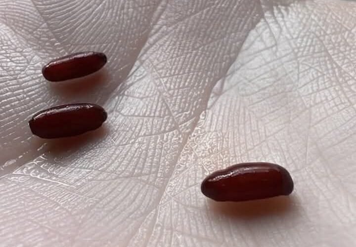 547691324 1832178997510593 1521987761122020416 n 1