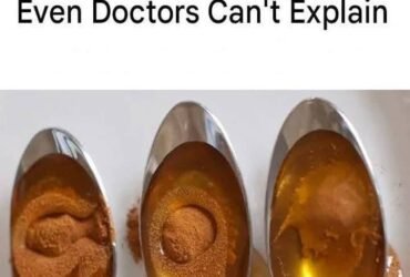 558302610 2393280844438016 2518407054595867654 n