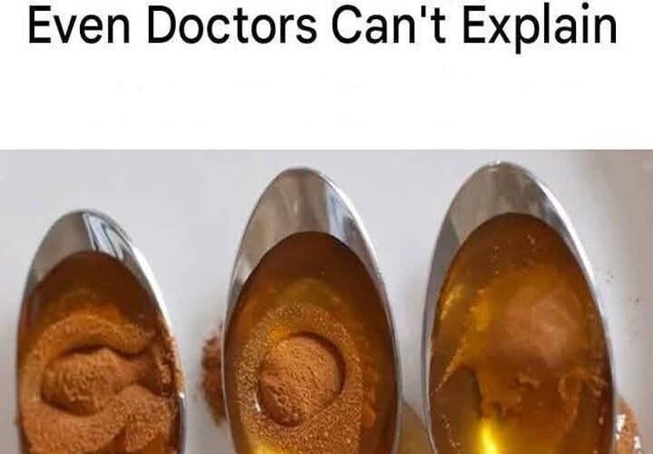 558302610 2393280844438016 2518407054595867654 n