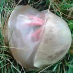 565147678 829137976364819 904508 1365x1536 1 7