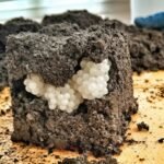 571181796 837927785485838 799949