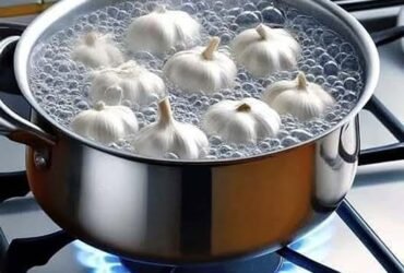 571199581 1244920687672504 4227099002362117954 n