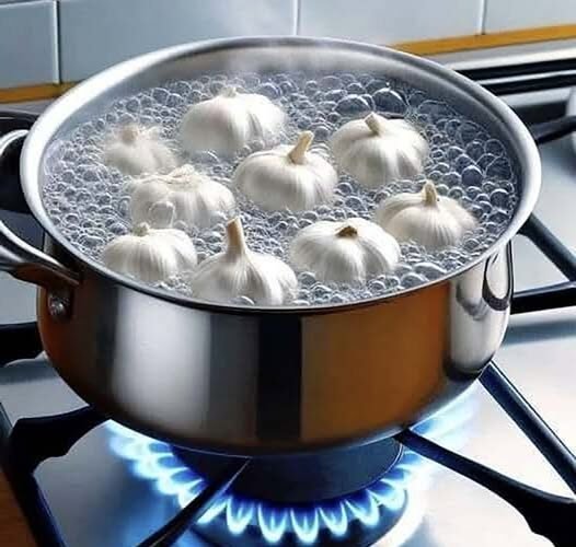 571199581 1244920687672504 4227099002362117954 n