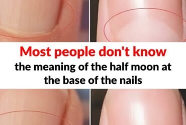 571818120 853742097091583 4218506580478427062 n