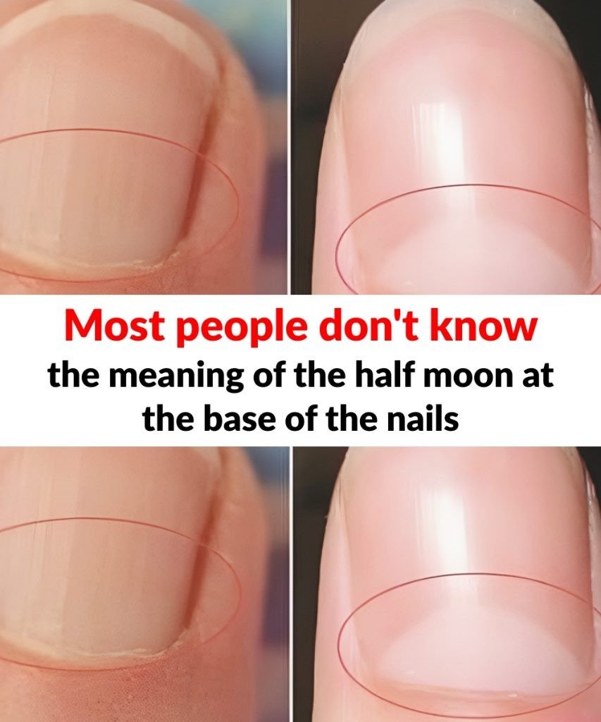 571818120 853742097091583 4218506580478427062 n