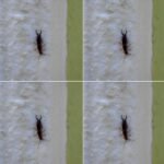 572399095 880627624537285 7594524769898666918 n