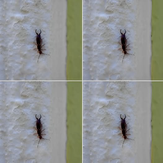 572399095 880627624537285 7594524769898666918 n