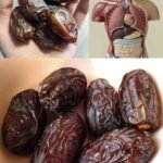 7b3c7596 eb03 493f ab9b 56d079e354fc