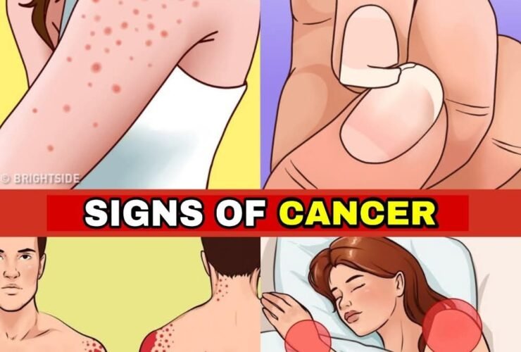 98f2b7ec c31d 476a 8f57 d6fc20569aef