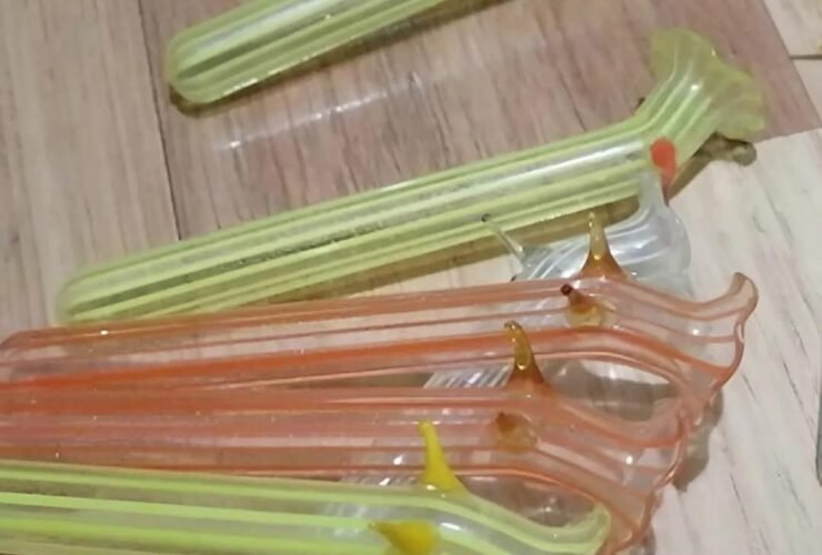 FB IMG 1757337570434 1 1