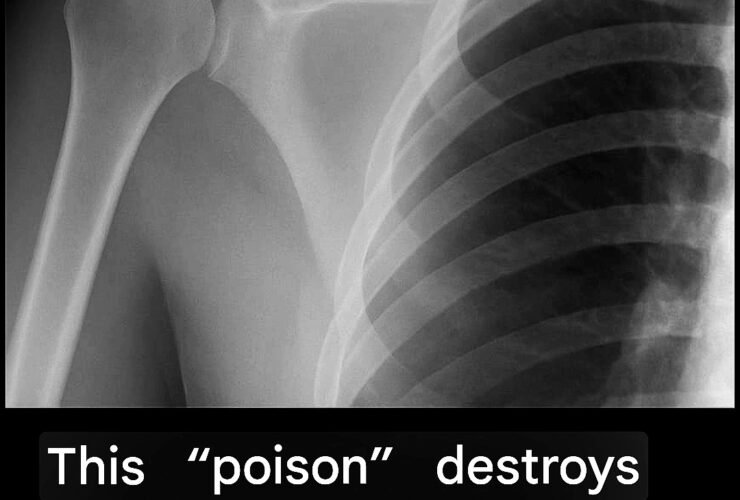 Screenshot 20251027 221909 Google