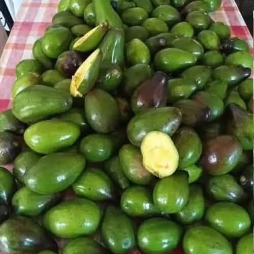 WhatsApp Image 2025 09 21 a 11.09.56 e3ff0b60