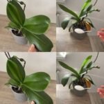 WhatsApp Image 2025 10 15 at 23.28.56 1 1