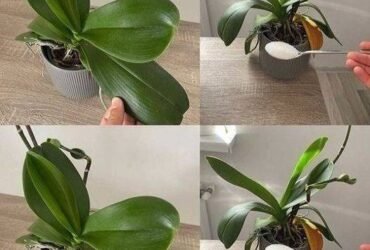 WhatsApp Image 2025 10 15 at 23.28.56 1 1