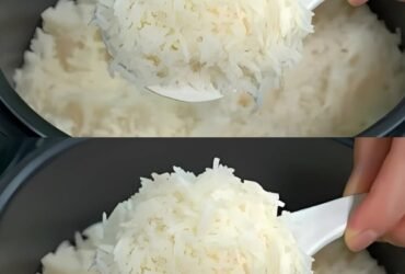 WhatsApp Image 2025 10 23 at 09.22.17