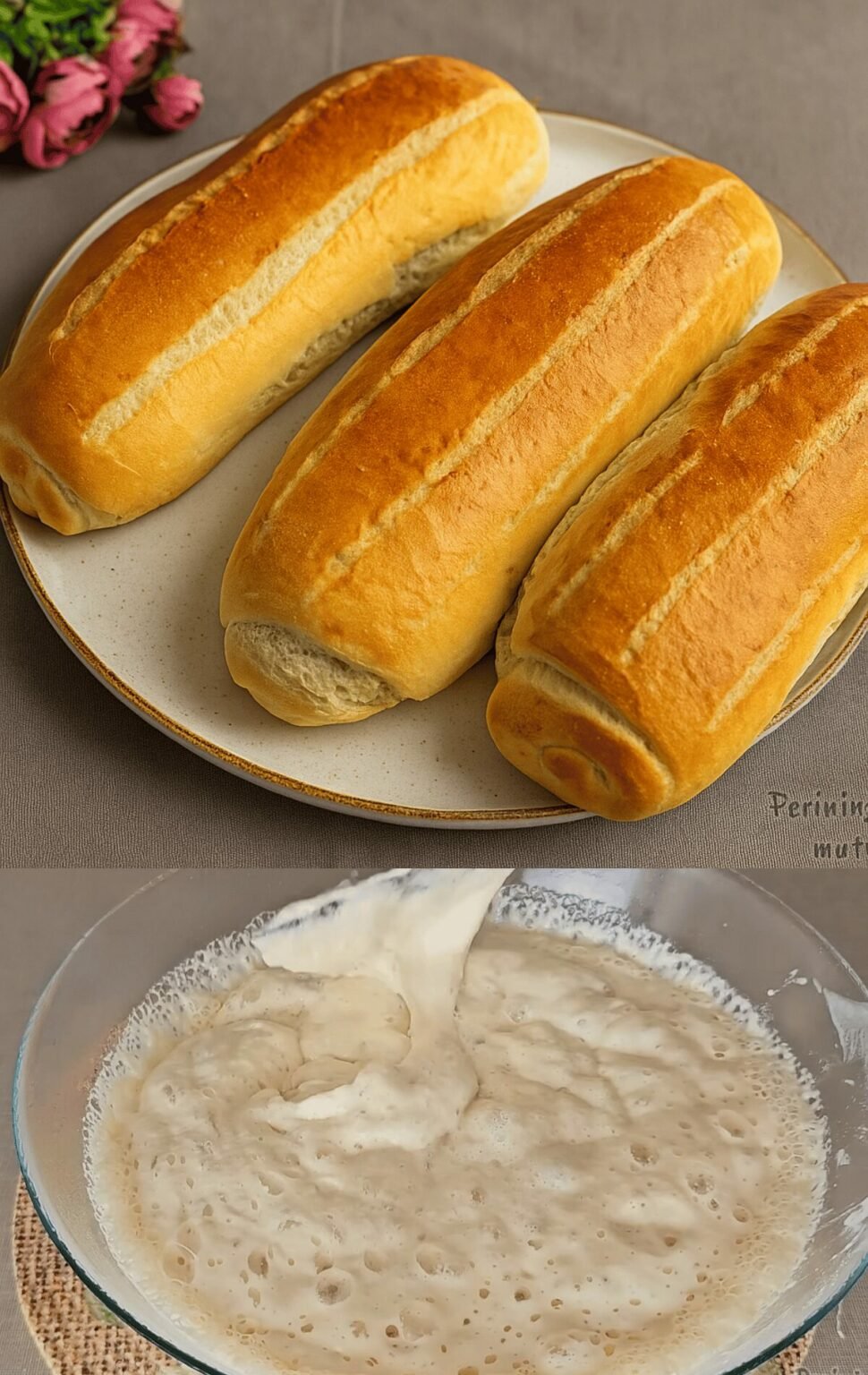 pomme 1200 x 1900 px 53 970x1536 1