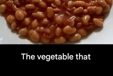 translated 956754585