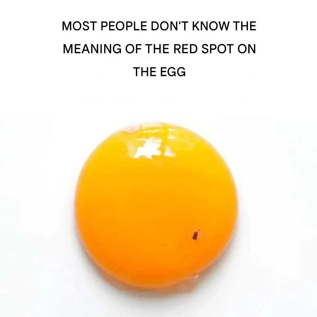 translated image 41 1