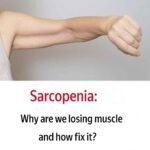 translation 20251024 014338