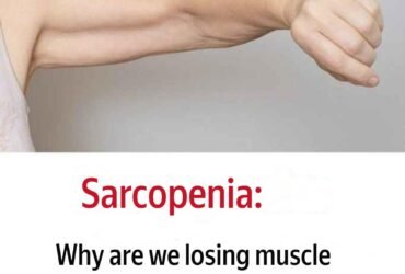 translation 20251024 014338