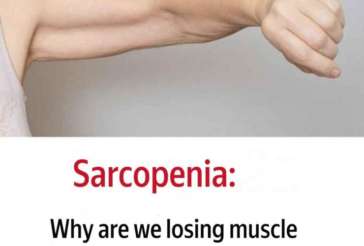 translation 20251024 014338