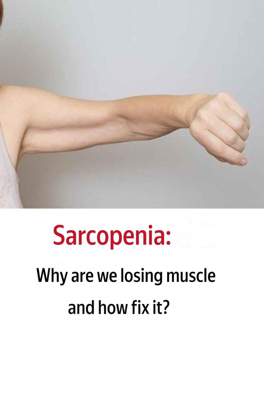 translation 20251024 014338