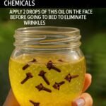 translation 20251027 222228