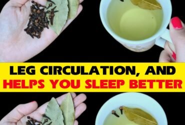 485723960 1211581000360597 3054193707108247102 n