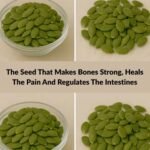 496081333 122124062750800244 6763907256571675258 n