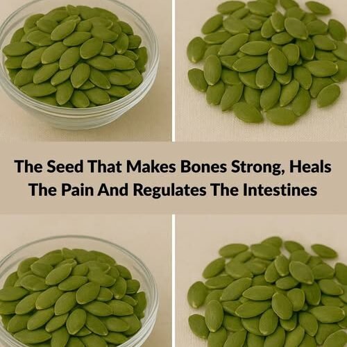 496081333 122124062750800244 6763907256571675258 n