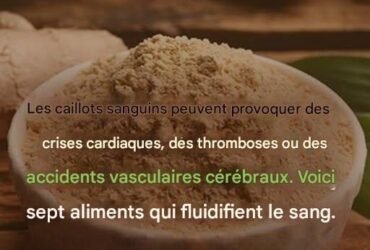 526840226 1989763978504375 4388076965098248334 n 1 2