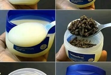 574920213 1141788098122101 8708467698649055060 n