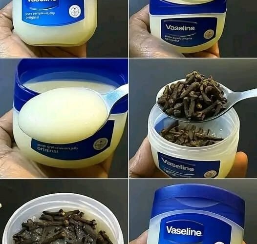 574920213 1141788098122101 8708467698649055060 n