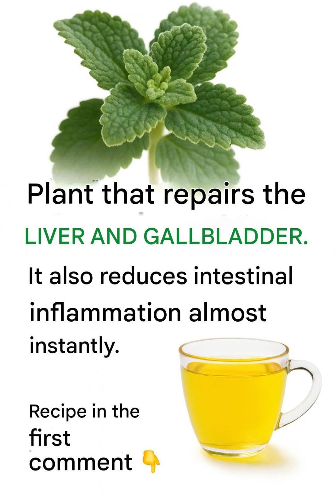 576379837 861585499769099 5742383589435073423 n