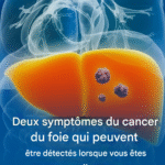 translated image 26 4